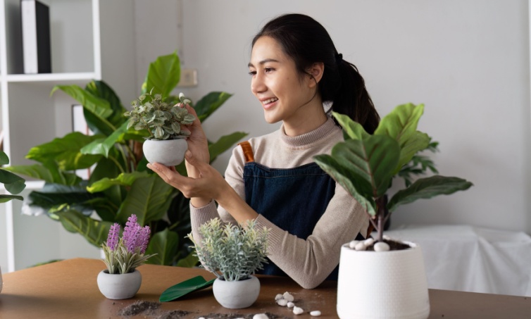 Moms, Ini 7 Tanaman yang Cocok di Dalam Ruangan